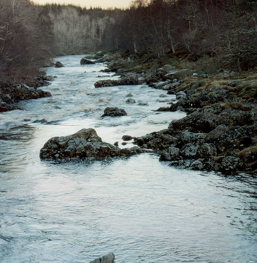 Lisa Richardson Designer Inspired By